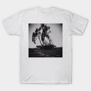 When The Bough Breaks - Black And White T-Shirt